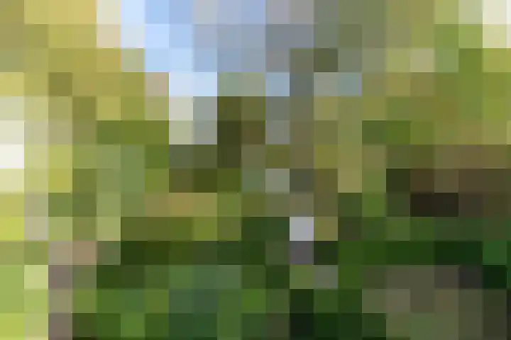 Westgaag 34 Maasland thumbnail 46