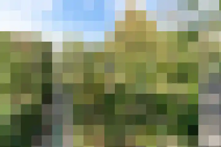 Westgaag 34 Maasland thumbnail 47