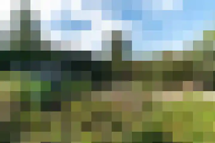 Westgaag 34 Maasland thumbnail 50