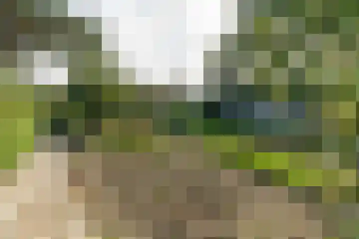 Westgaag 34 Maasland thumbnail 51