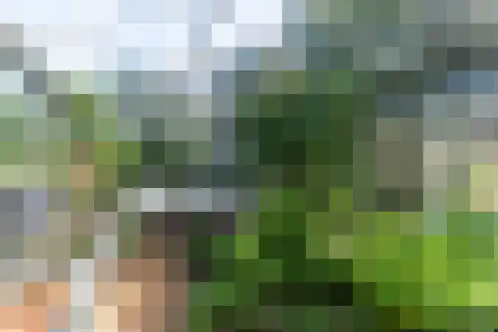 Westgaag 34 Maasland thumbnail 52