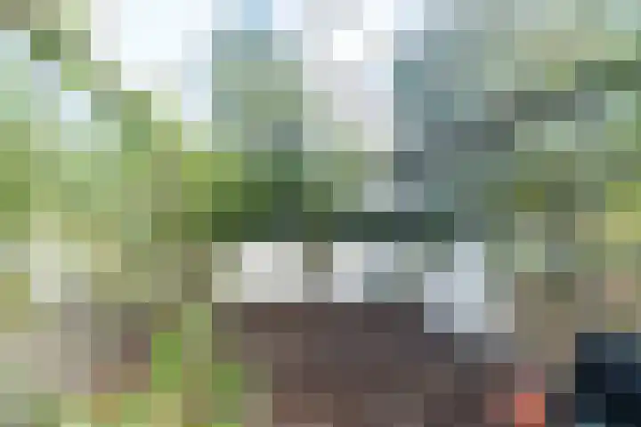 Westgaag 34 Maasland thumbnail 53