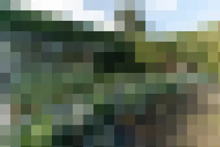 Westgaag 34 Maasland thumbnail 54