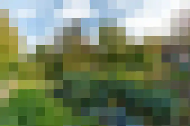 Westgaag 34 Maasland thumbnail 55