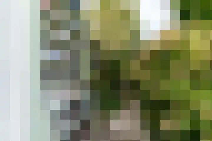 Westgaag 34 Maasland thumbnail 56