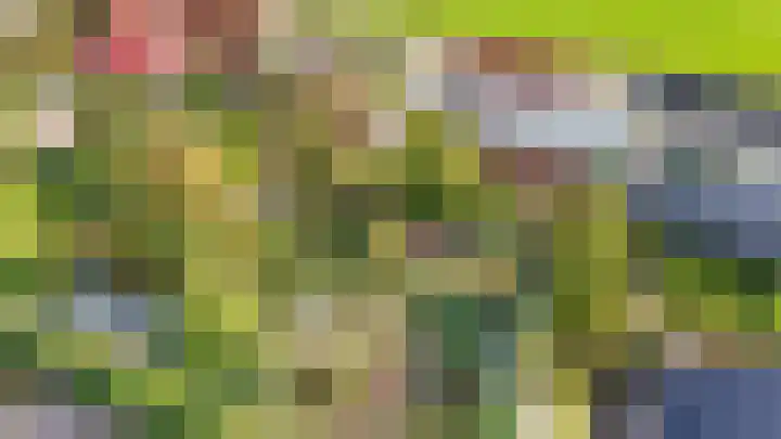 Westgaag 34 Maasland thumbnail 61