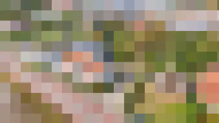 Westgaag 34 Maasland thumbnail 63