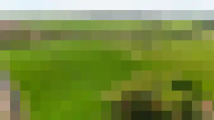 Westgaag 34 Maasland thumbnail 65