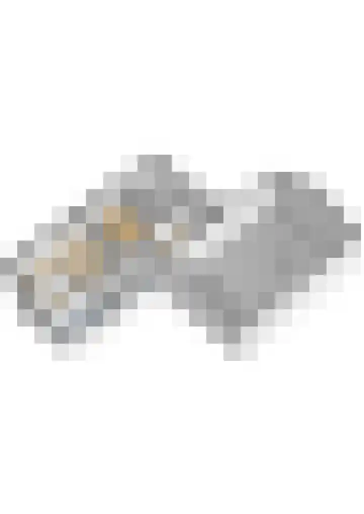 Westgaag 34 Maasland thumbnail 69