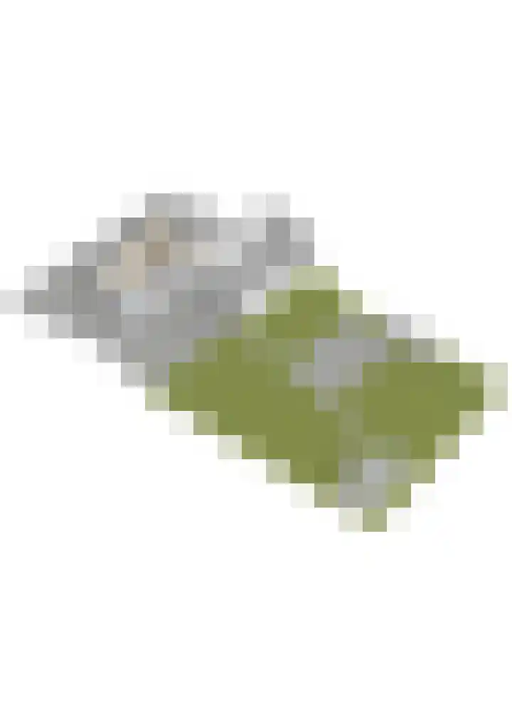 Westgaag 34 Maasland thumbnail 77