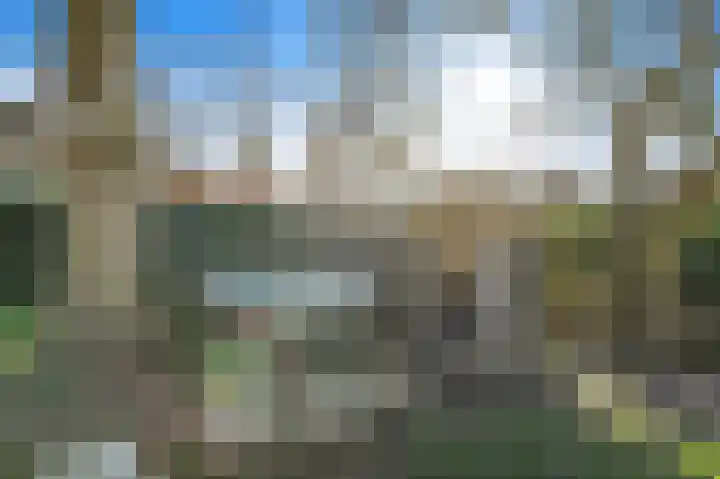 Westgaag 8 b Maasland thumbnail 56
