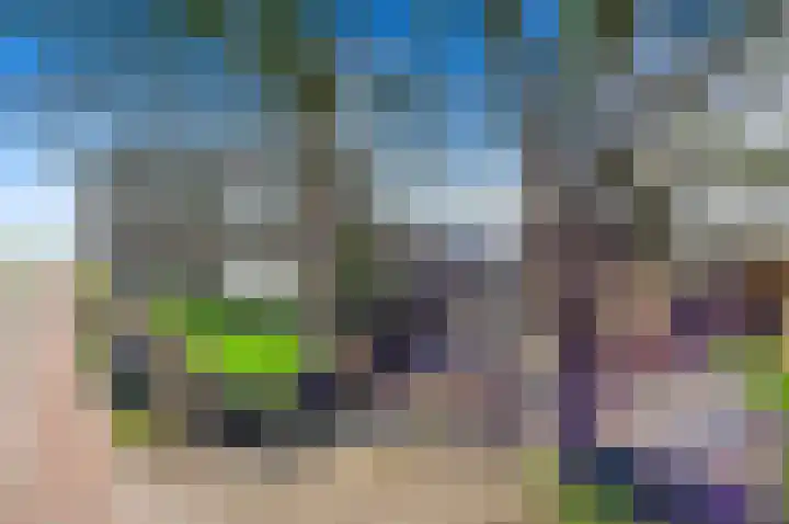 Westgaag 8 b Maasland thumbnail 7