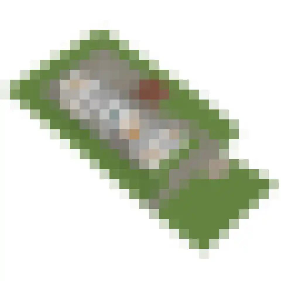 Westgaag 96 Maasland thumbnail 126