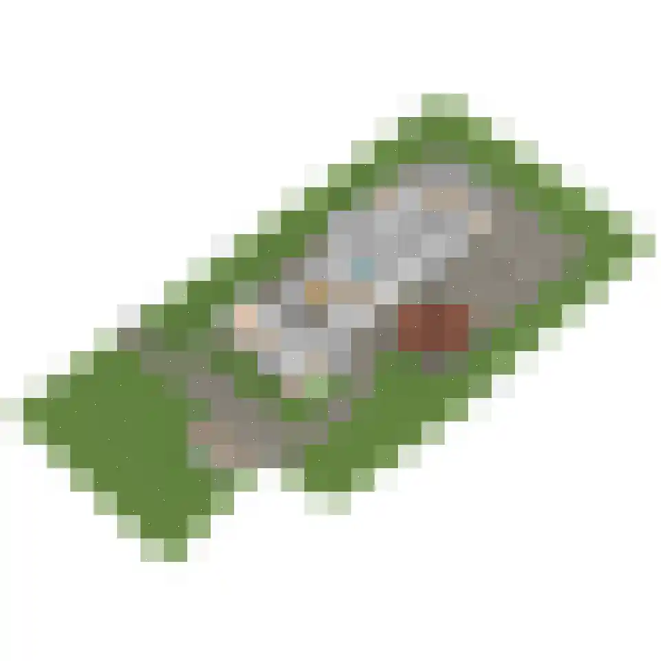 Westgaag 96 Maasland thumbnail 127