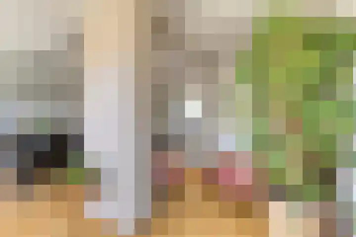 Westgatstraat 8 Lewedorp thumbnail 5