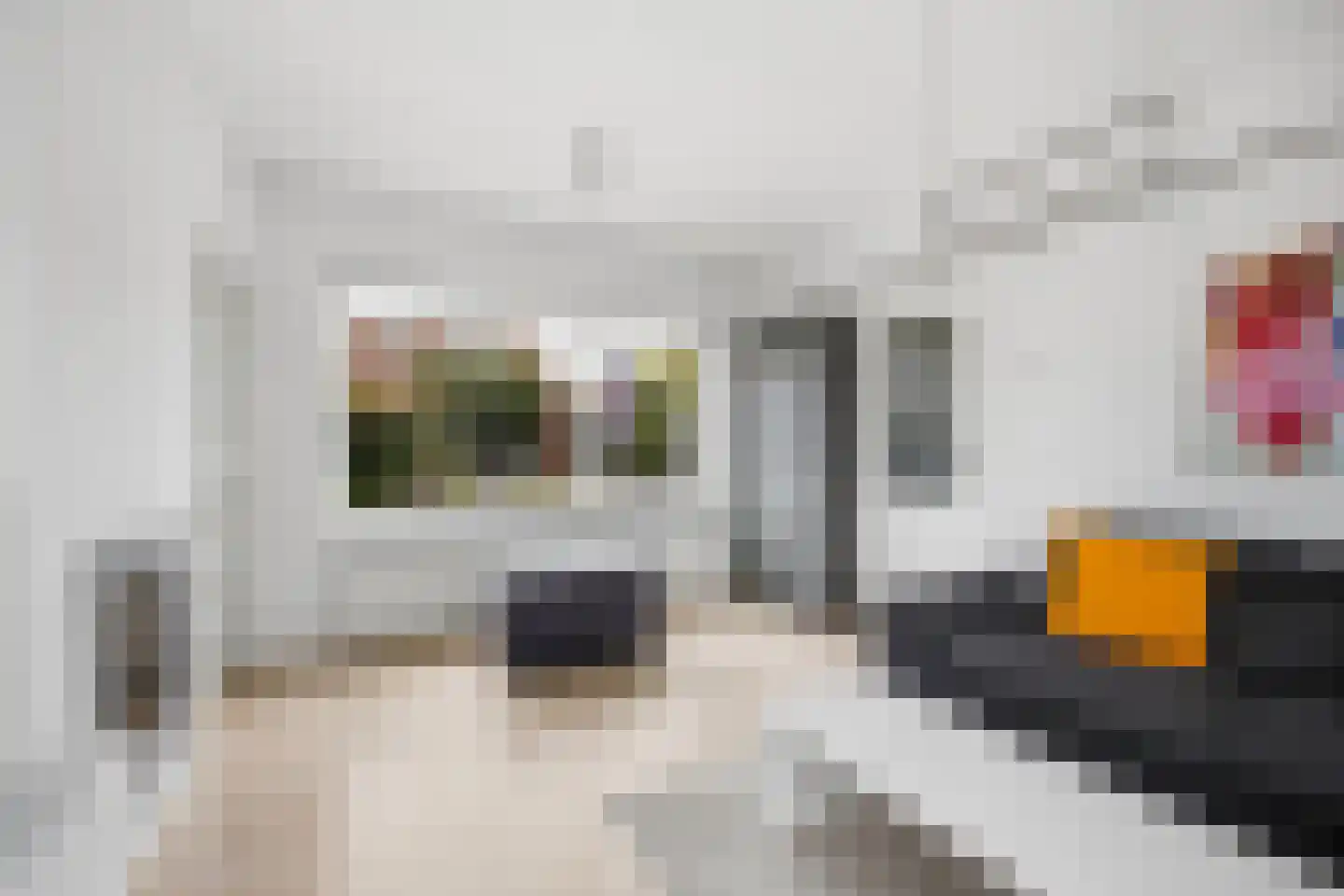 Westgroeneweg 16 Dinteloord thumbnail 13