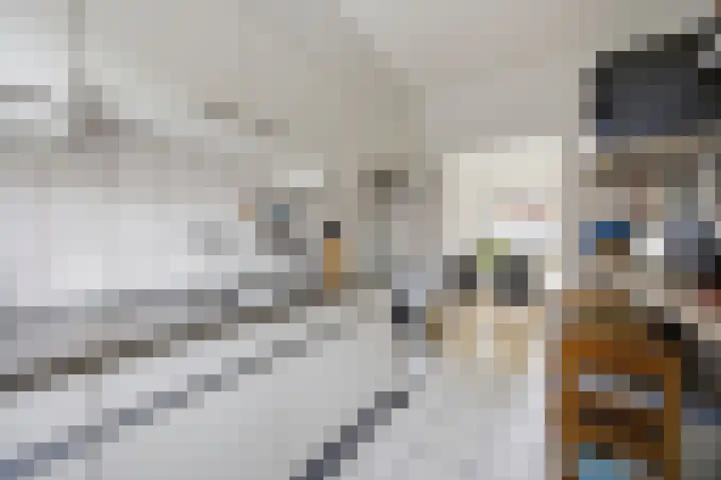 Westgroeneweg 16 Dinteloord thumbnail 14
