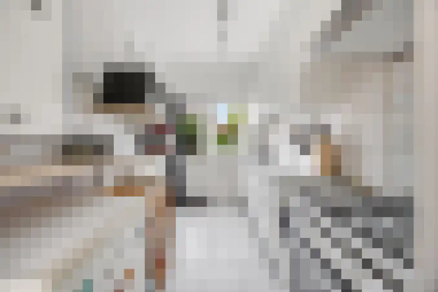 Westgroeneweg 16 Dinteloord thumbnail 15