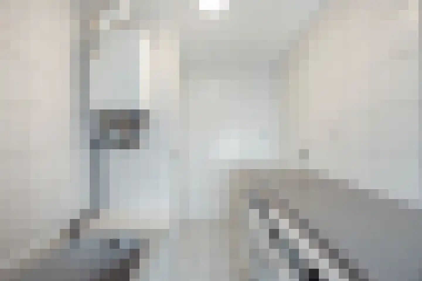 Westgroeneweg 16 Dinteloord thumbnail 28