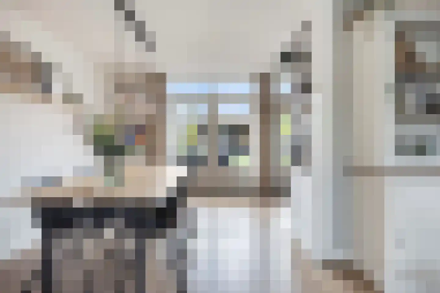 Westgroeneweg 39 Dinteloord thumbnail 6