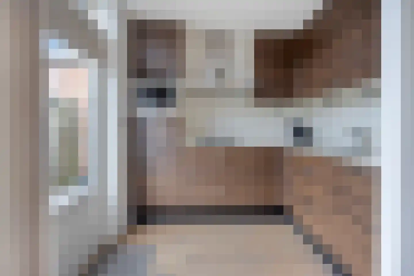Westgroeneweg 39 Dinteloord thumbnail 8