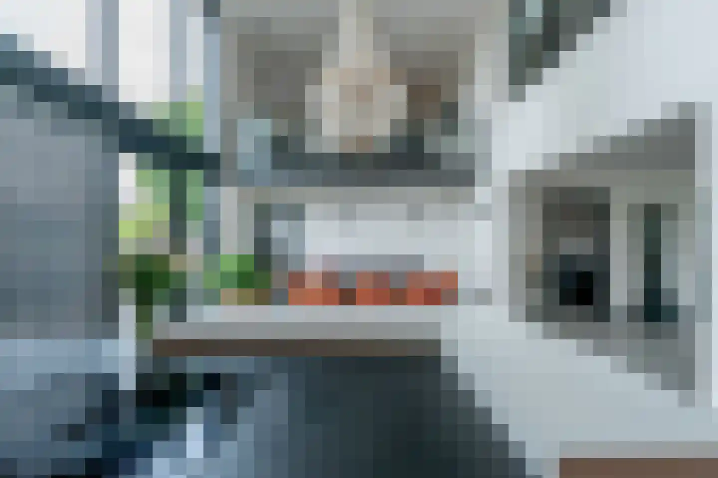 Westgroeneweg 50 Dinteloord thumbnail 18