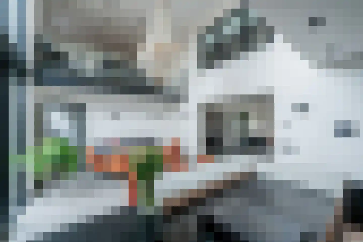 Westgroeneweg 50 Dinteloord thumbnail 20