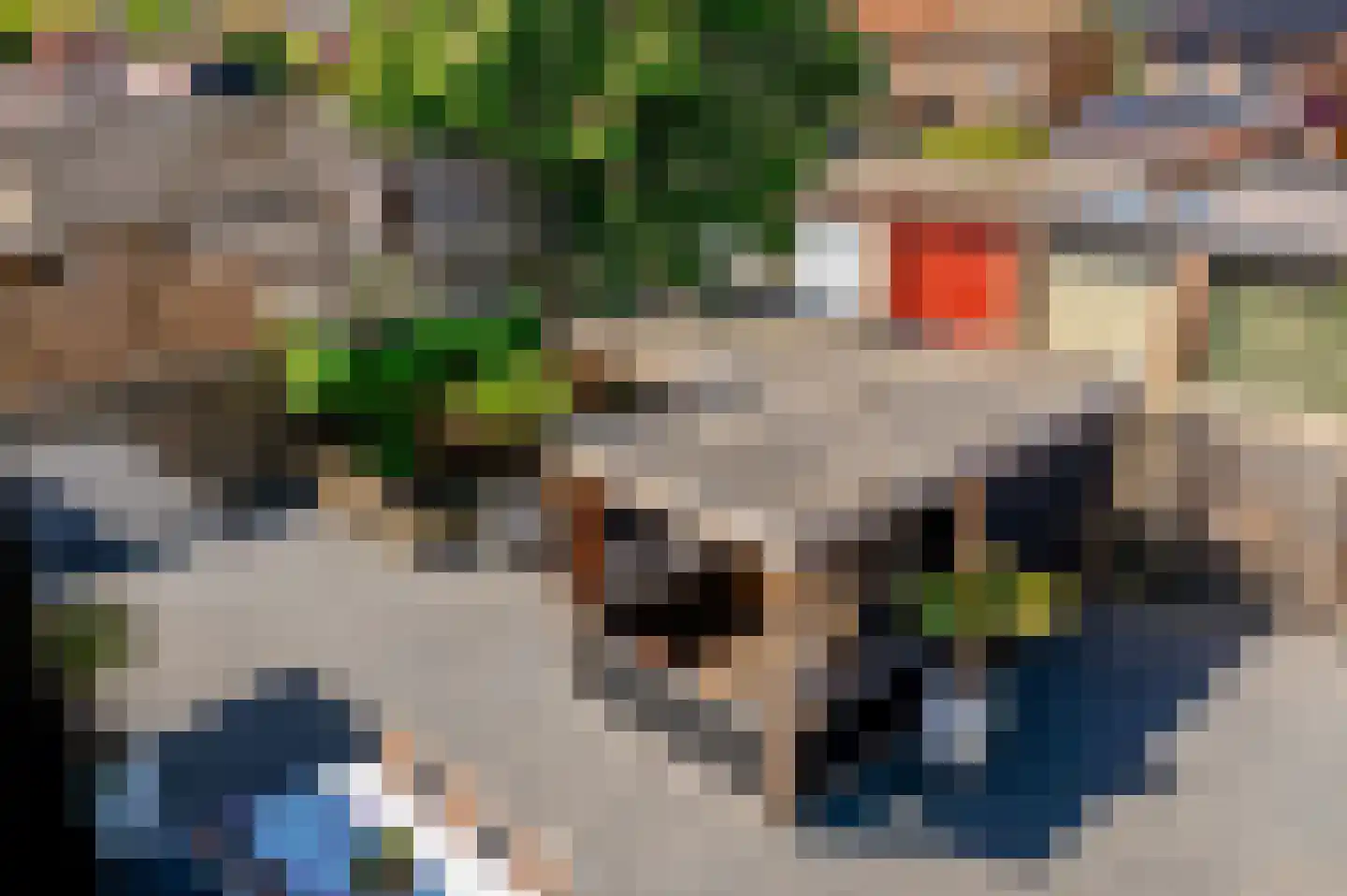 Westgroeneweg 50 Dinteloord thumbnail 37