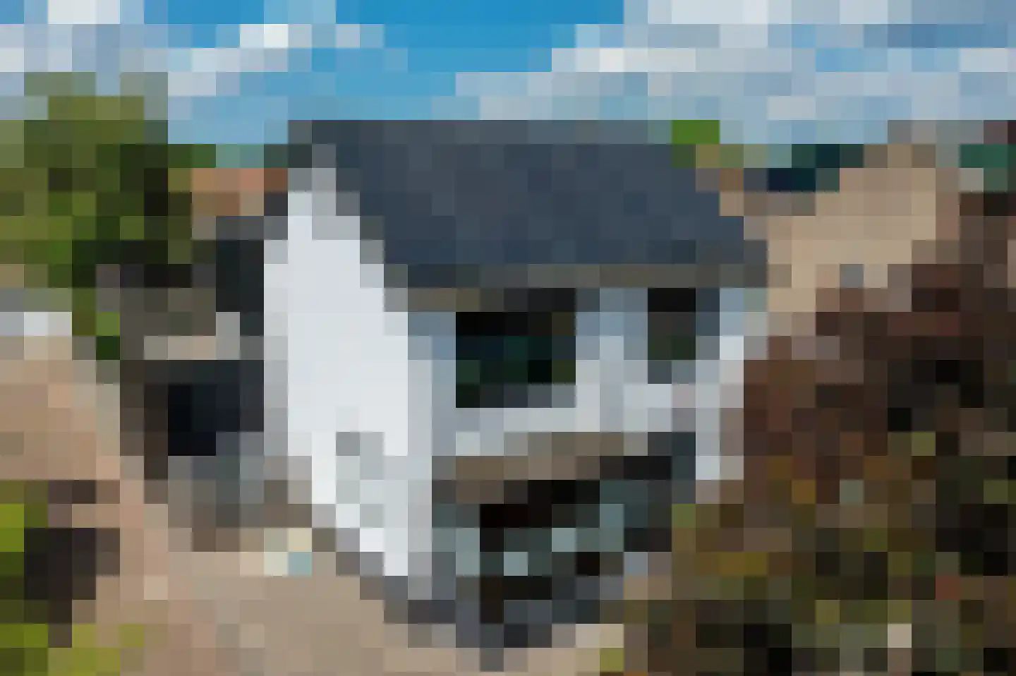 Westgroeneweg 50 Dinteloord thumbnail 6