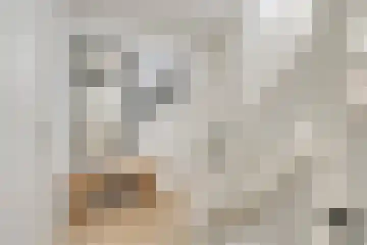 Westhaag 12 Oss thumbnail 21