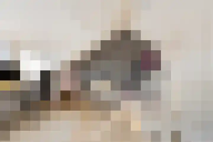 Westhaag 12 Oss thumbnail 23
