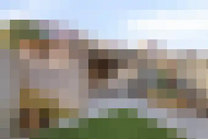 Westhaag 12 Oss thumbnail 26