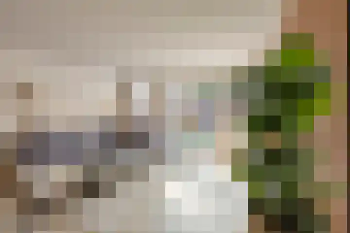 Westhaag 12 Oss thumbnail 4