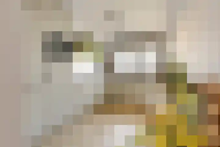 Westhaag 12 Oss thumbnail 9
