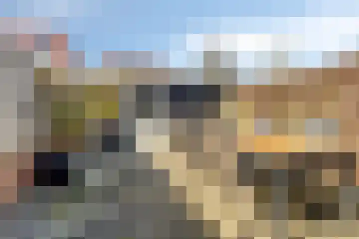 Westhaag 46 Oss thumbnail 8