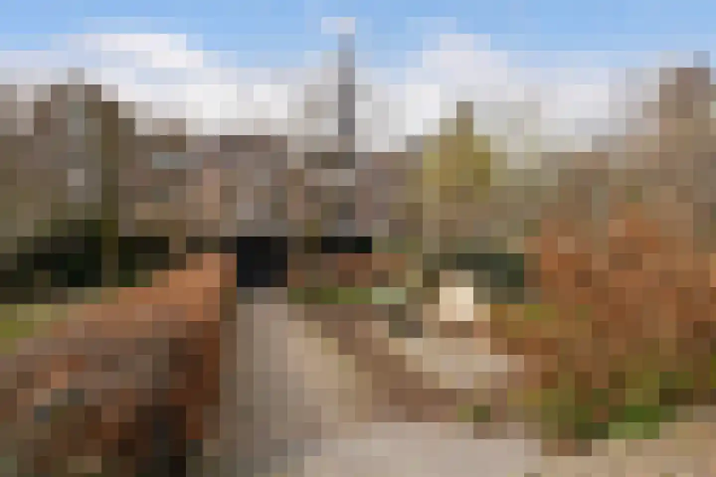Westhaven 16 Gouda thumbnail 33