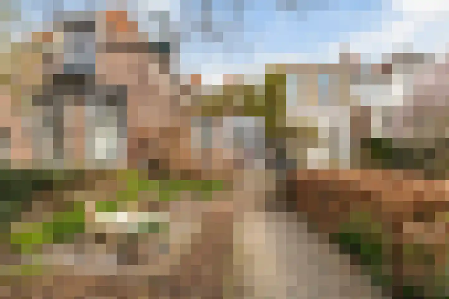 Westhaven 16 Gouda thumbnail 35