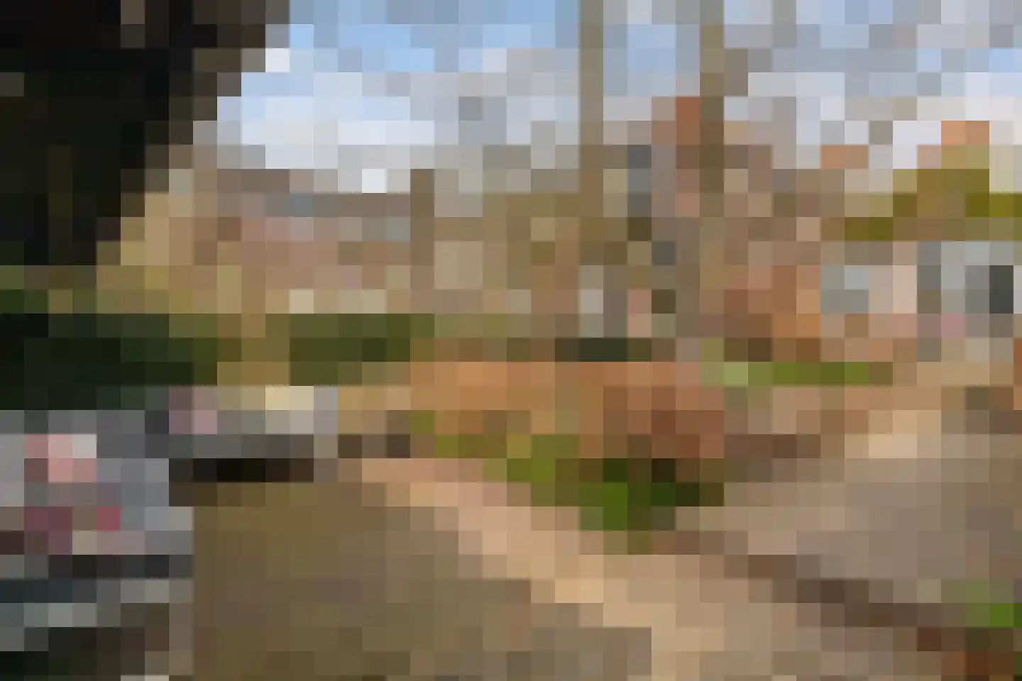 Westhaven 16 Gouda thumbnail 36
