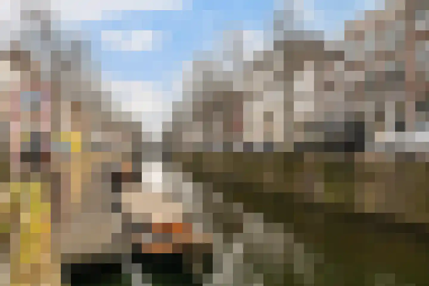 Westhaven 16 Gouda thumbnail 69
