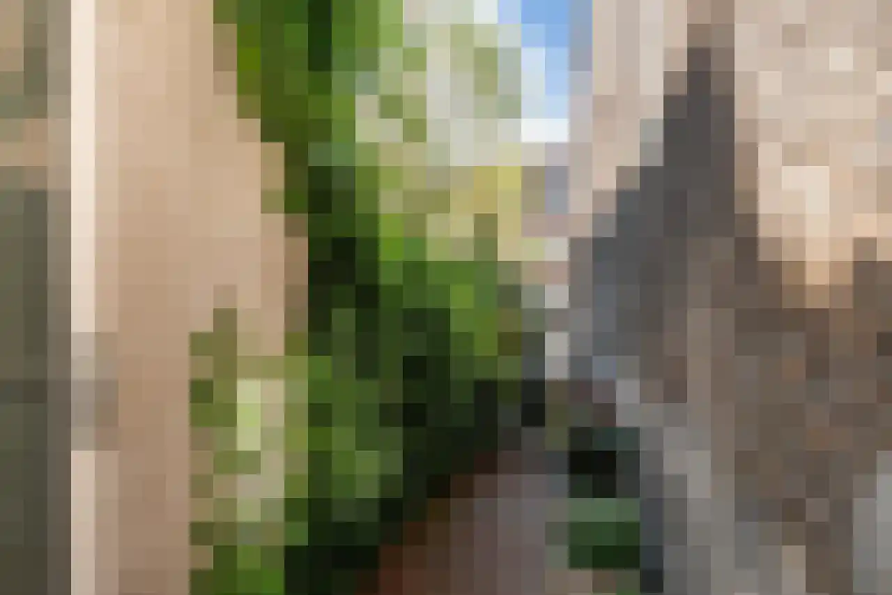 Westhaven 2 Gouda thumbnail 24
