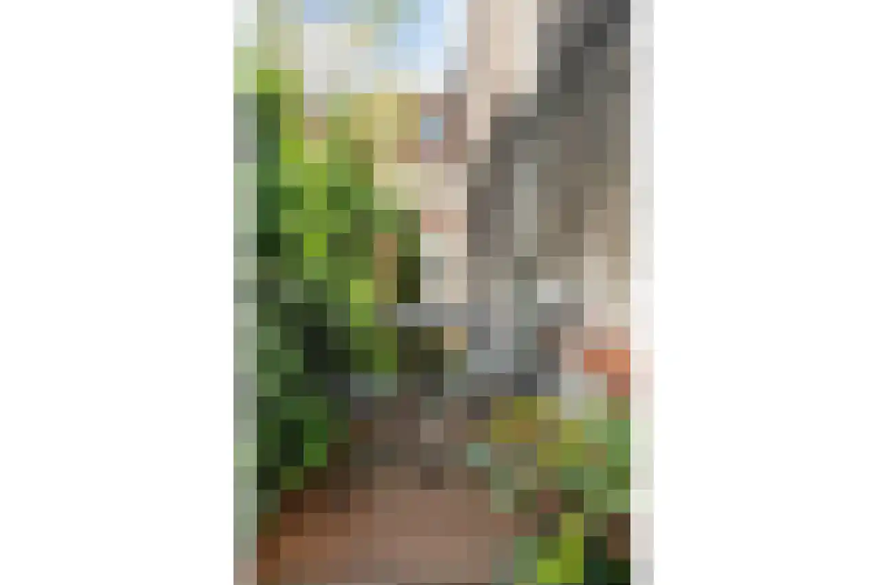 Westhaven 2 Gouda thumbnail 25