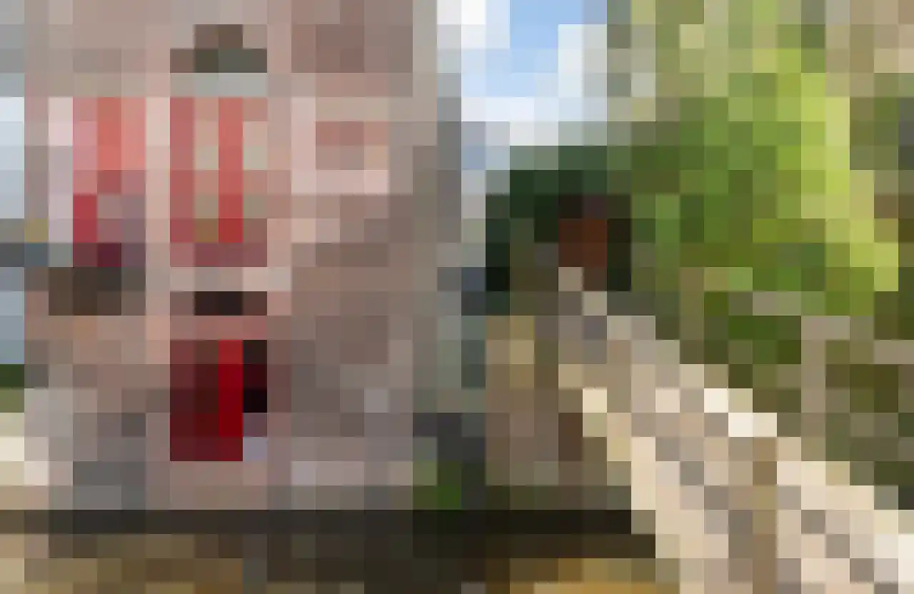 Westhaven 2 Gouda thumbnail 27