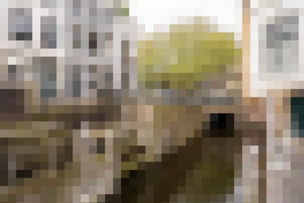 Westhaven 2 Gouda thumbnail 43