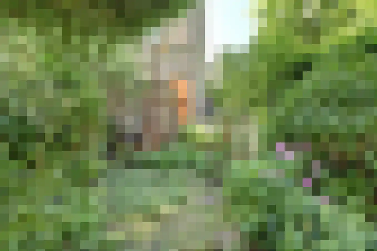 Westhaven 24 a Gouda thumbnail 43