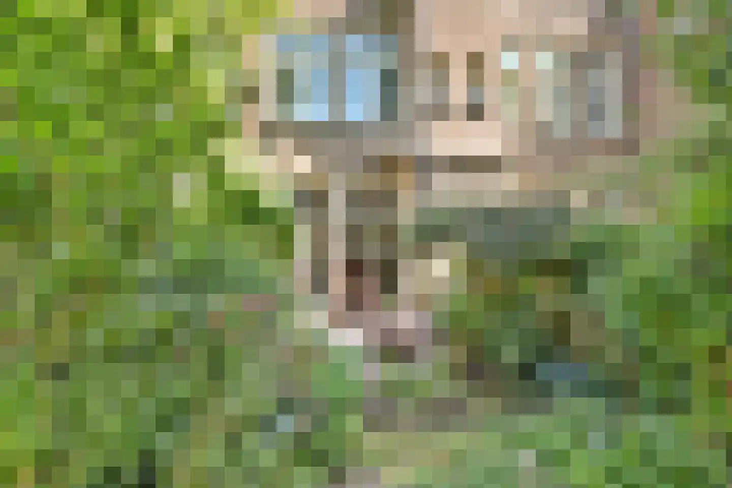 Westhaven 24 a Gouda thumbnail 45