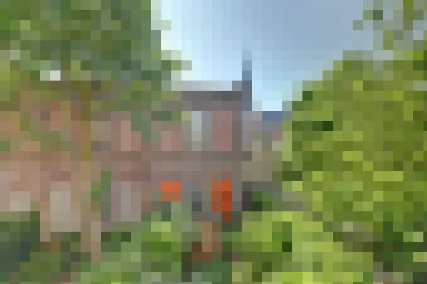 Westhaven 24 a Gouda thumbnail 48