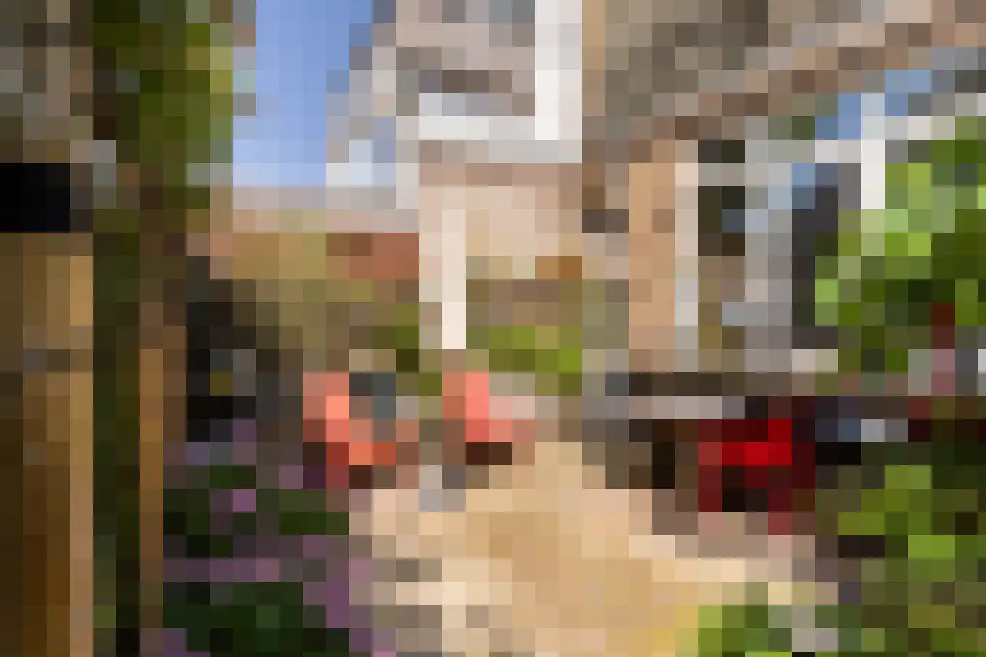 Westhaven 47 Gouda thumbnail 48
