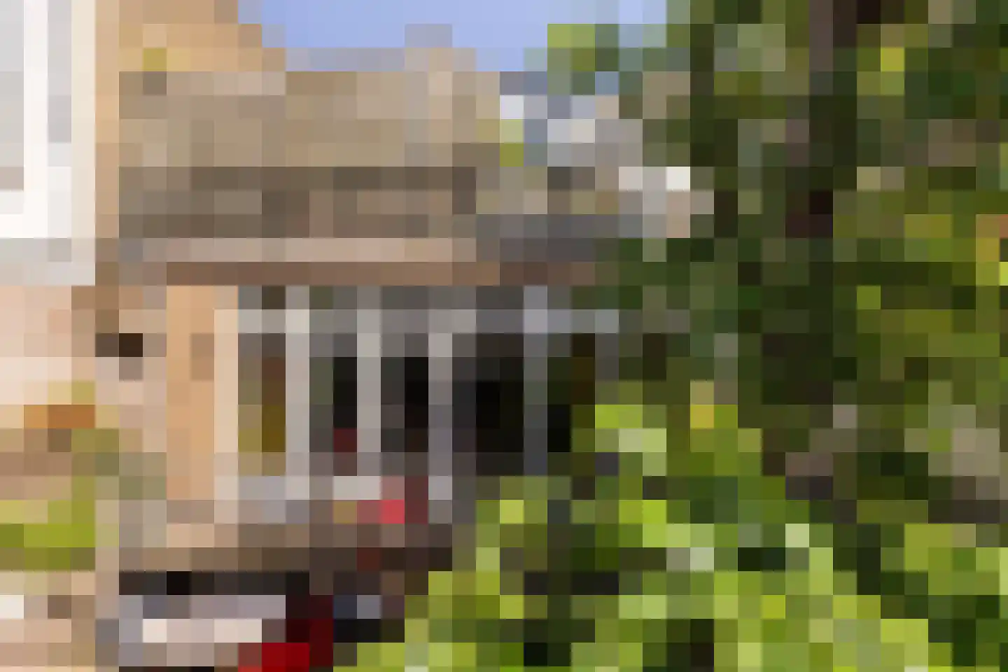 Westhaven 47 Gouda thumbnail 49