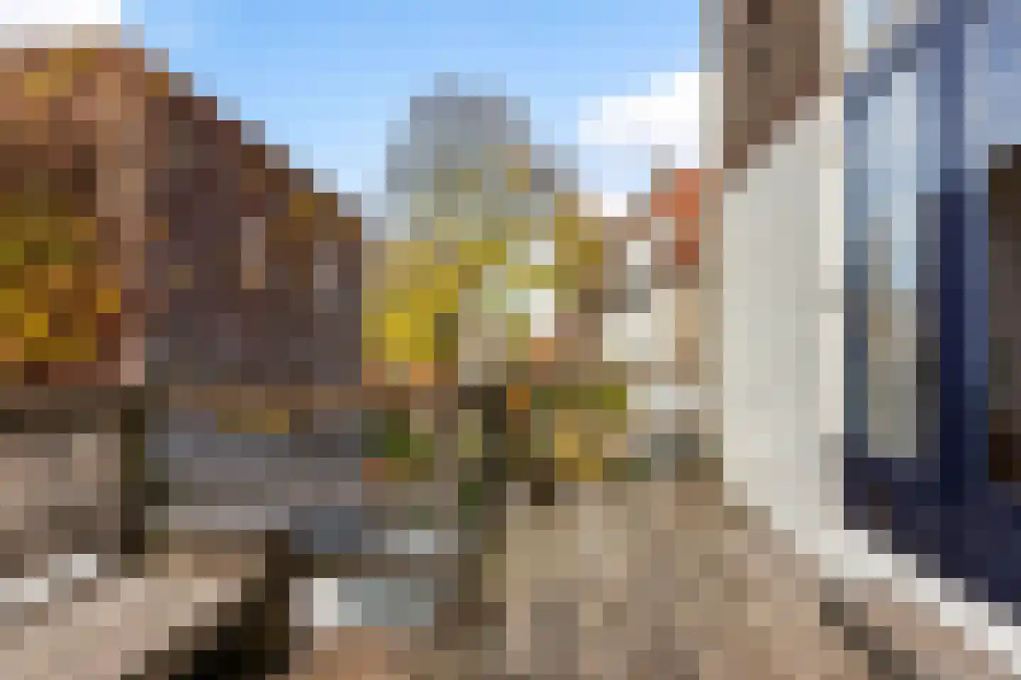 Westhaven 59 Gouda thumbnail 56