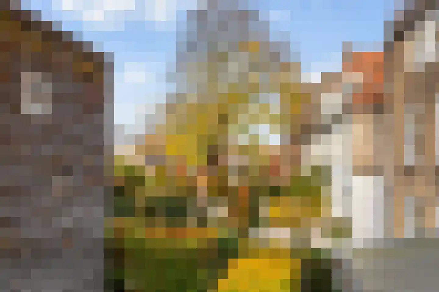 Westhaven 59 Gouda thumbnail 58